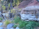 photo thumbnail #5