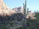 photo thumbnail #7