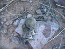photo thumbnail #15