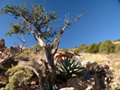 photo thumbnail #4