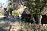 photo thumbnail #11