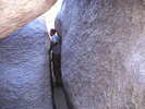 photo thumbnail #14