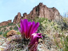 photo thumbnail #2