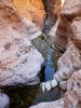 photo thumbnail #15