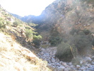 recent photo