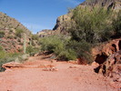 photo thumbnail #6