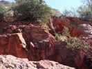 photo thumbnail #8