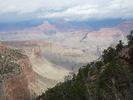 recent photo