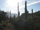 photo thumbnail #3