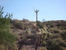 photo thumbnail #4