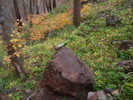 photo thumbnail #2