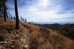 photo thumbnail #1