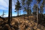 photo thumbnail #8