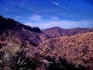 photo thumbnail #2