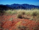photo thumbnail #10
