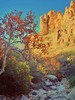 2008-11-23 :2: Rough Canyon :: te_wa