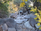photo thumbnail #9