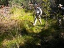 photo thumbnail #11