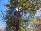 2008-11-24 :2: Rough Canyon :: nonot
