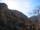 photo thumbnail #15