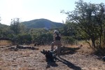 photo thumbnail #4