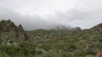 photo thumbnail #14