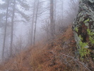 photo thumbnail #14