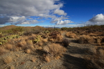 photo thumbnail #1