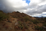 photo thumbnail #5