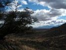 photo thumbnail #14
