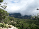 photo thumbnail #7