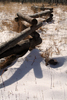photo thumbnail #5