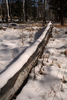 photo thumbnail #10