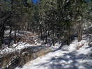 photo thumbnail #14