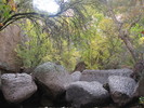 photo thumbnail #6