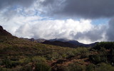 photo thumbnail #6