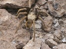 photo thumbnail #10