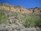 photo thumbnail #5