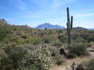 photo thumbnail #1