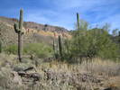 photo thumbnail #8