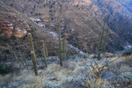 photo thumbnail #1