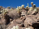 photo thumbnail #8