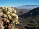photo thumbnail #9