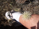 photo thumbnail #10