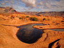 photo thumbnail #12