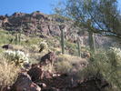 photo thumbnail #4