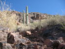 photo thumbnail #5