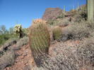 photo thumbnail #12