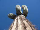 photo thumbnail #14
