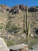 photo thumbnail #3